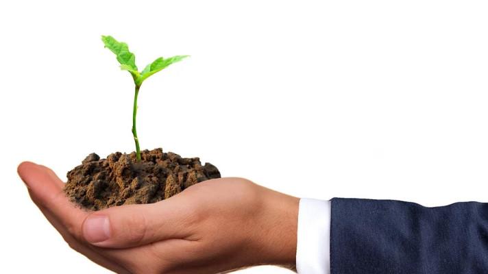 Českých zástupců na Špicberkách přibylo. Vědci tam dovezli várku  95 vzorků semen Českých zástupců na Špicberkách přibylo. Vědci tam dovezli várku  95 vzorků semen