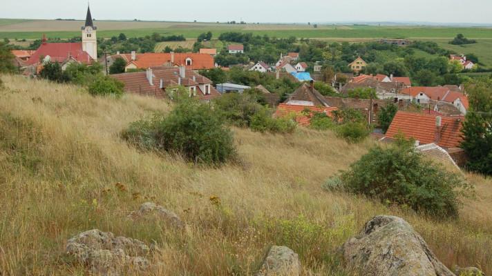 I větrolamy vyžadují péči, aby dobře chránily před půdu erozí I větrolamy vyžadují péči, aby dobře chránily před půdu erozí