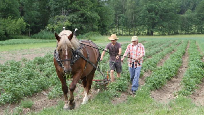 V Česku vzniká vzdělávací centrum pro začínající ekologické zemědělce V Česku vzniká vzdělávací centrum pro začínající ekologické zemědělce