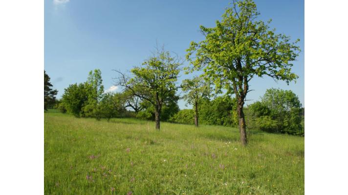 MŽP nabízí 12 milionů českým partnerům v programu LIFE 2014-2019 MŽP nabízí 12 milionů českým partnerům v programu LIFE 2014-2019