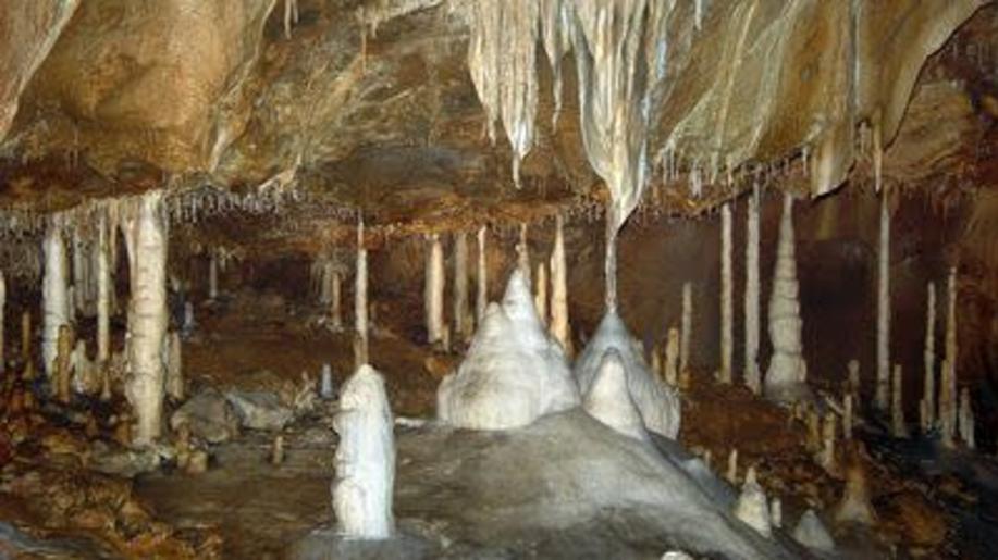 Javoříčské jeskyně jsou známé rozmanitou krápníkovou výzdobou