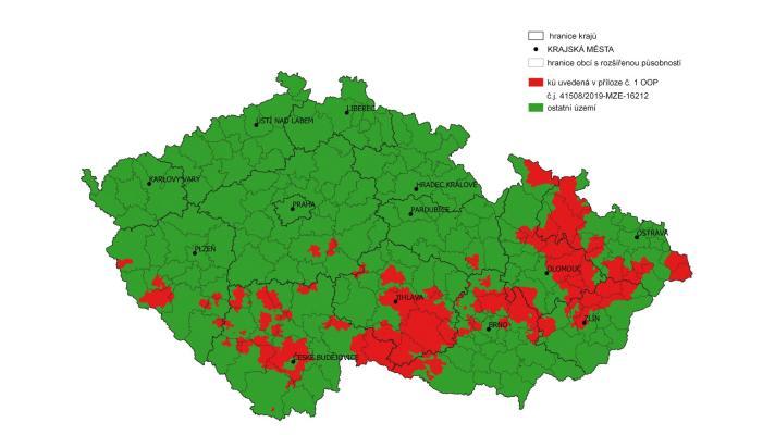 Díky novému opatření mohou vlastníci lesů rychleji a efektivněji zalesňovat kalamitní holiny Díky novému opatření mohou vlastníci lesů rychleji a efektivněji zalesňovat kalamitní holiny