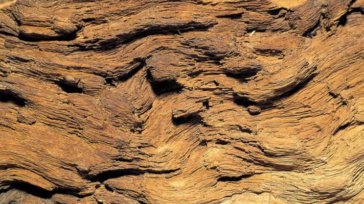Přehled mineralogických a paleontologiclých burz