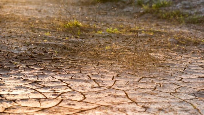 Klimatolog: Srážek je dost, sucho v posledních letech ovlivňují jiné faktory