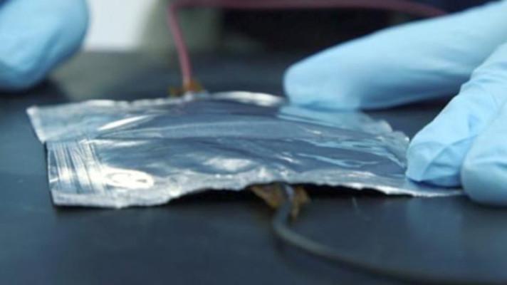 Energy harvesting foil generates electricity from human motion