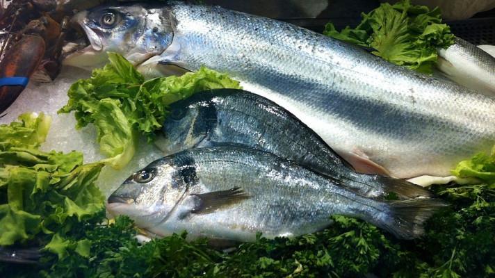 Víte, že ryby patří mezi nejbohatší přírodní zdroje vitaminu D?
