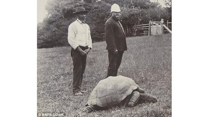 Apoštol pomalosti, želva Jonathan má přinejmenším 185 let