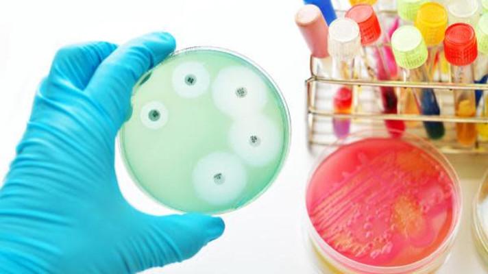 Indepth analysis: Stronger Bacteria. Weaker Antimicrobial