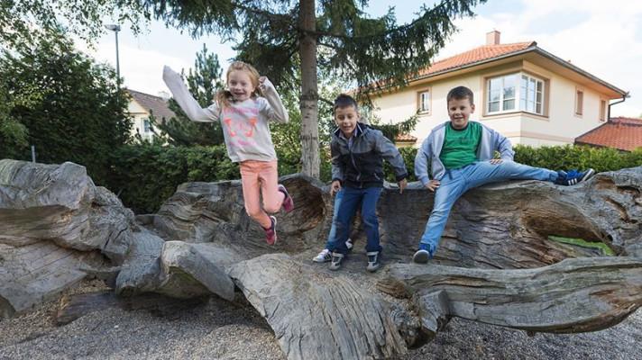 Odstartoval mezinárodní Měsíc školních zahrad a letos vůbec poprvé se připojují také školy v Česku