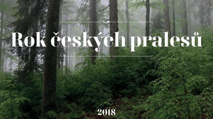 Oslavte rok českých pralesů návštěvou běžně nepřístupných míst
