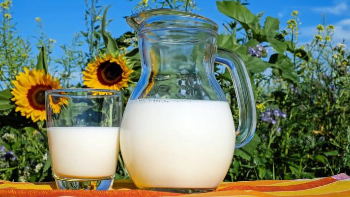 Ze sortimentu biopotravin Češi nejčastěji nakupují mléčné produkty