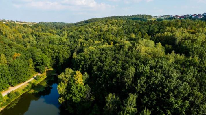 Změna územního plánu rozhodne o údolí Rudolfovského potoka