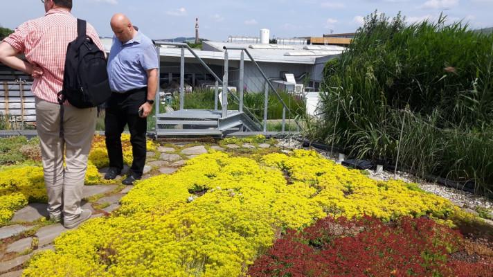 Ocenění za Zelenou střechu roku putuje na Pankrác, do onkologického centra v Plzni i pro šikmou střechu na rodinném domě