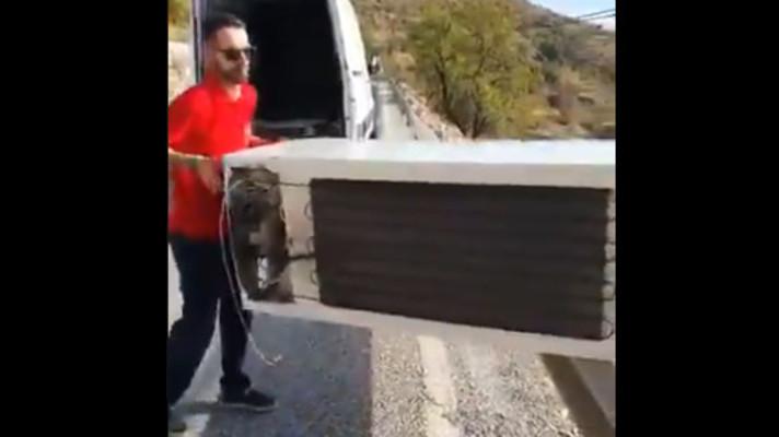 Muž ve Španělsku shodil ze srázu lednici, musel si ji vyzvednout