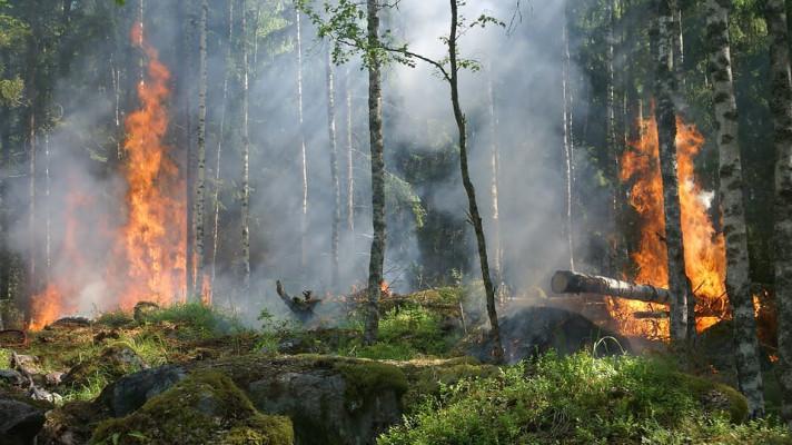 Na Sibiři hoří skoro milion hektarů lesa, města dusí dým