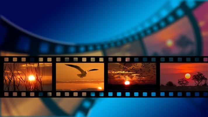 EKOFILM není jen o filmech. Nabídne procházku virtuálními světy, zajímavé debaty, venkovní galerii i program pro školáky