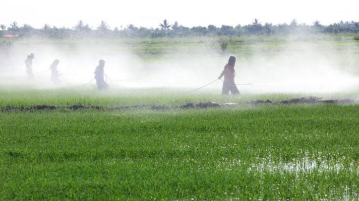 Sustainable use of pesticides - Implementation report
