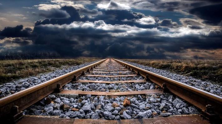 Železničáři musí zastavit plošné kácení podél tratí, vyzývá Ministerstvo životního prostředí