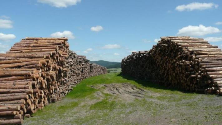Nové možnosti pro krátkodobé skladování kalamitního dřeva na zemědělské půdě