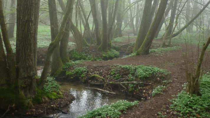 Zádolský potok na Svitavsku má opět původní meandrující podobu