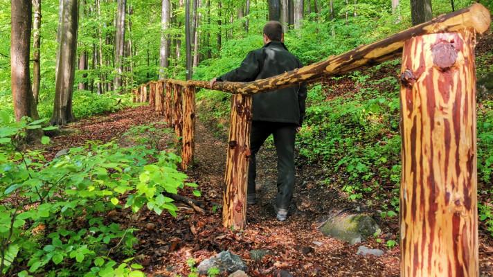 Lesníci opravili turistickou stezku z Račího Údolí na vyhlídku Čertova kazatelna