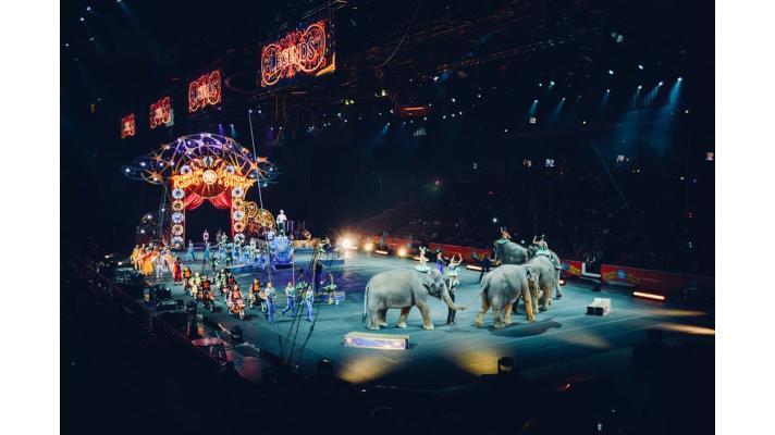 Odborník podporuje ukončení využívání divokých druhů zvířat v cirkusech