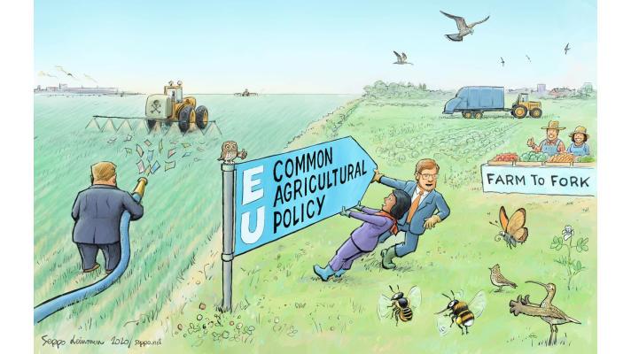 Vědci varují před ustupováním lobby velkých agropodniků v evropské zemědělské politice