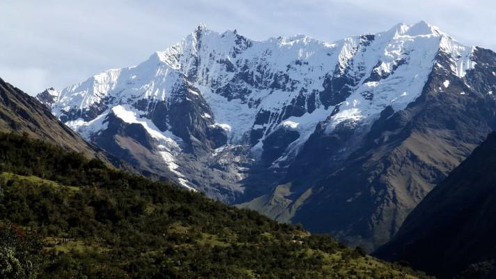 Vědecká expedice objevila v bolivijských Andách 20 nových druhů