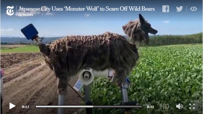 Japonci do polí instalovali robotické vlky, mají odradit medvědy