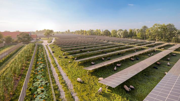 Wien Energie se připravuje na připojení největší fotovoltaické elektrárny v Rakousku