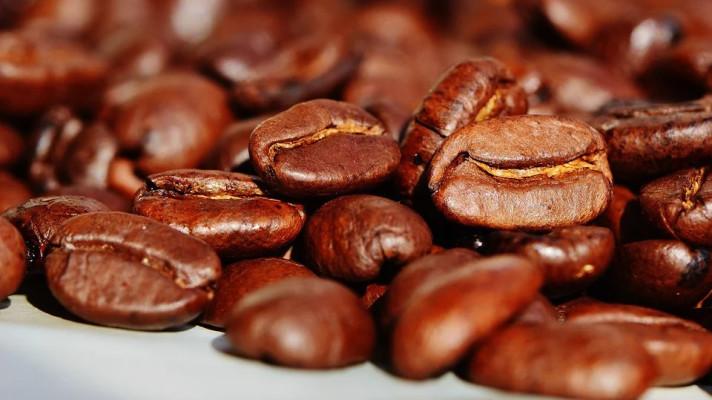 Vědci našli divoký druh kávovníku, který odolá oteplování