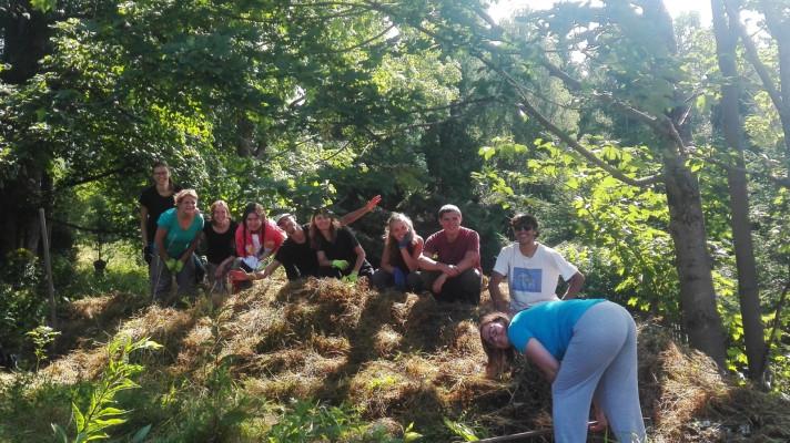 Mezinárodní dobrovolníci pomáhali obnovovat louky v Libereckém kraji