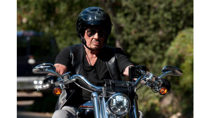 Pomník Johnnymu Hallydaovi s motorkou Harley dráždí ekology ve Francii
