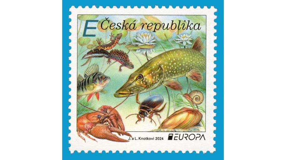 Europa: Vodní fauna a flora