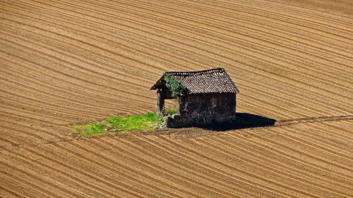 Čeští vědci hledají cestu, jak mohou zemědělci uložit více uhlíku do půdy
