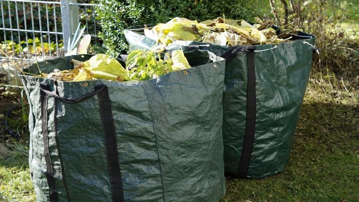 Množství vytříděného zeleného odpadu vzrostlo v Bohumíně více než pětinásobně