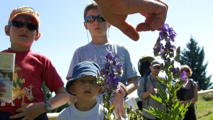 Jihlava: Děti se budou starat o květiny na náměstí