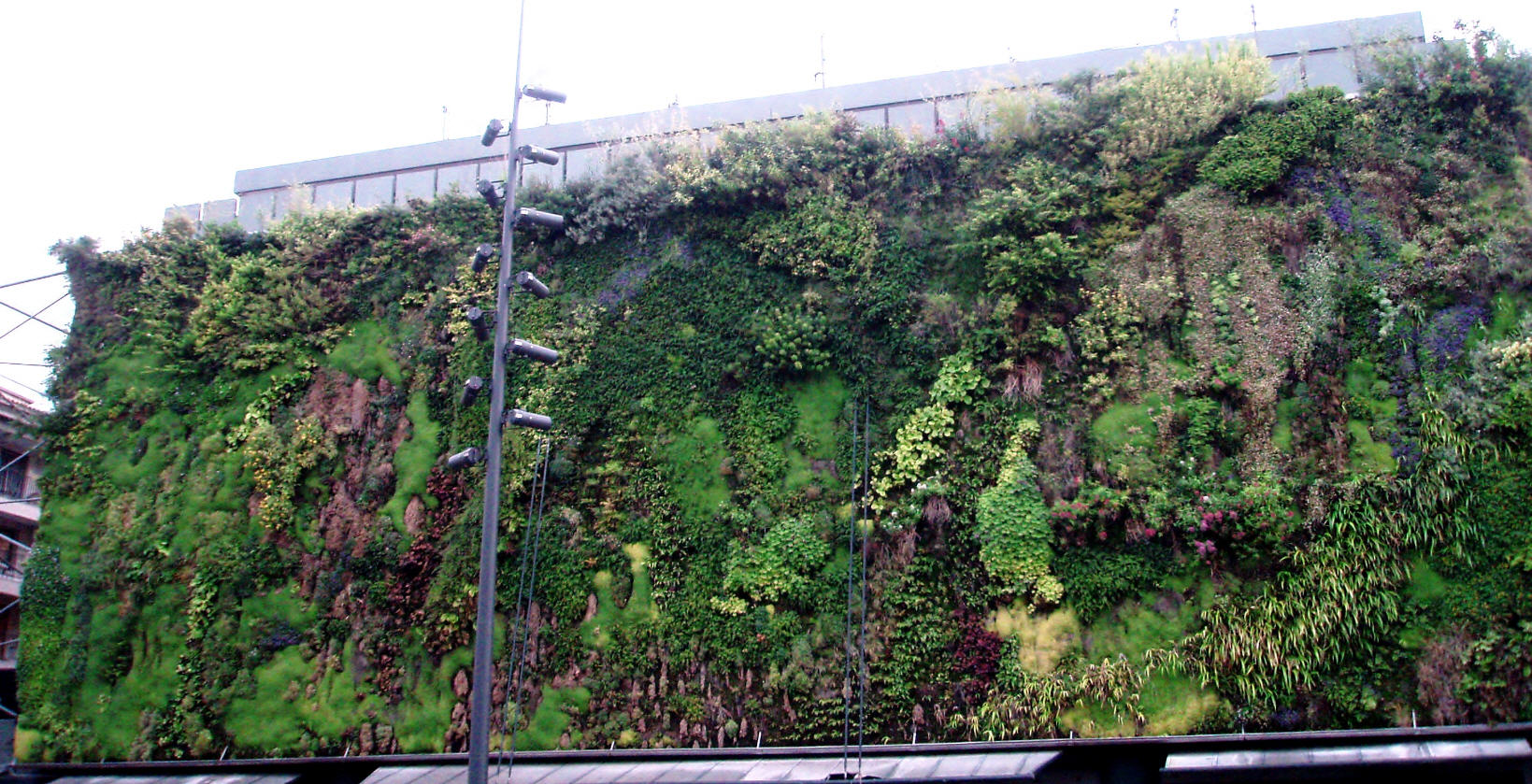 Zelené (živé) fasády - vertikální zahrady