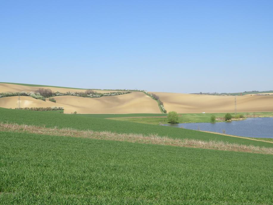 Zemědělci v okolí Švihova omezili používání pesticidů Zemědělci v okolí Švihova omezili používání pesticidů