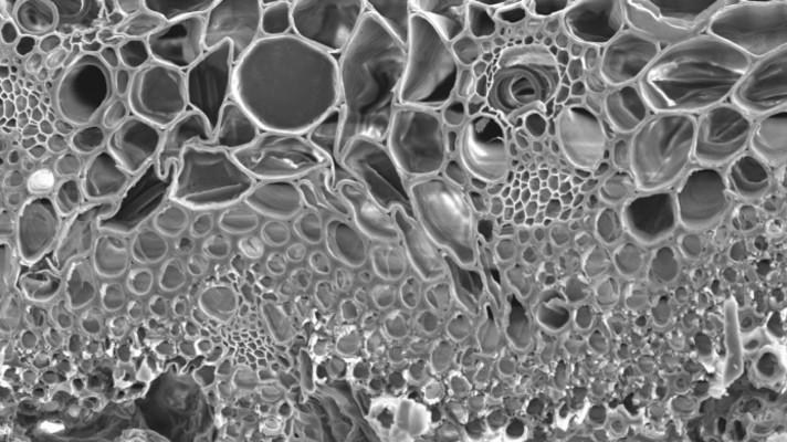 First steps to a bio-compatible ion current battery