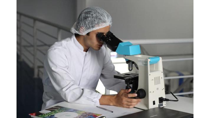 Českobudějovičtí biologové objevili nové viry neobvyklých organizmů