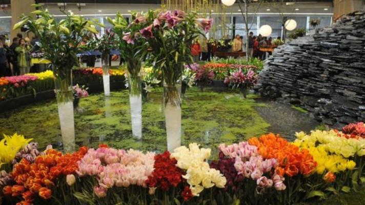 Letní Flora zve na setkání v Rajské zahradě, terakotovou armádu i řadu hvězd