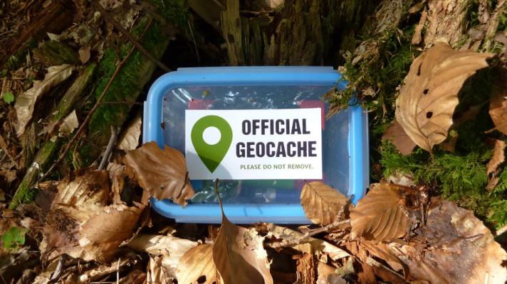 Geocachingová série S Drákulou v netopýřím světě má již tisíc návštěvníků
