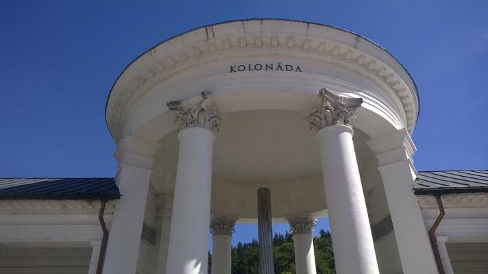 V Mariánských Lázních vzniká dendrologická stezka