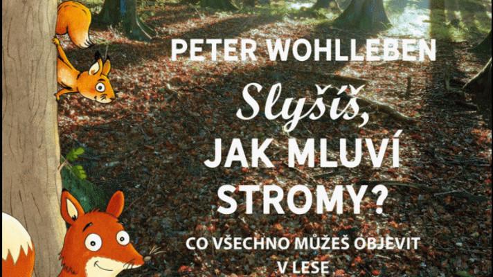 Dárek na poslední chvíli? Kniha je jasná volba!