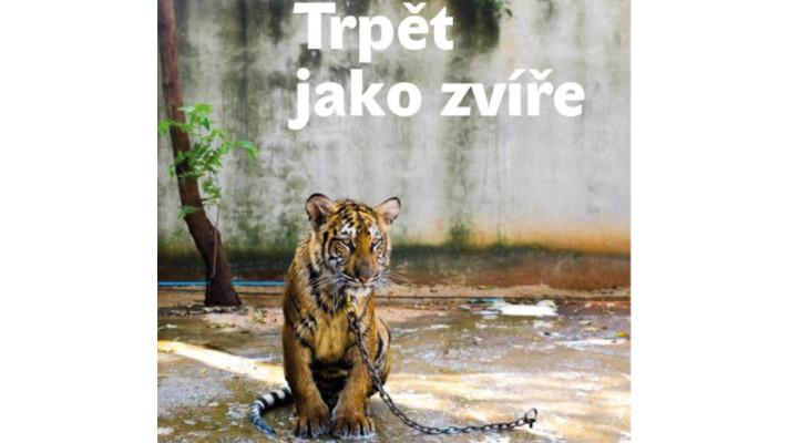 Sedmá generace 4/2017: Trpět jako zvíře 