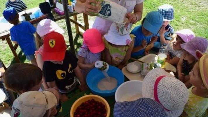 Každý rok se ve školních jídelnách vyhodí až 48 000 tun potravin. Skutečně zdravá škola vyzývá ke snižování plýtvání