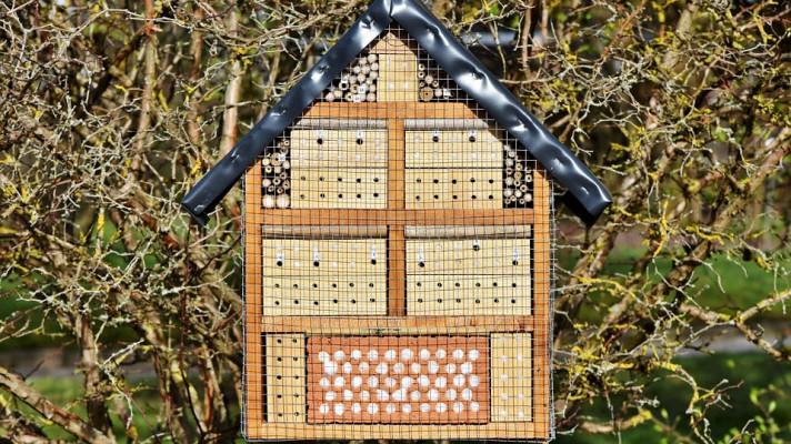 Exchange of views (EoV) with the Commission on neonicotinoids