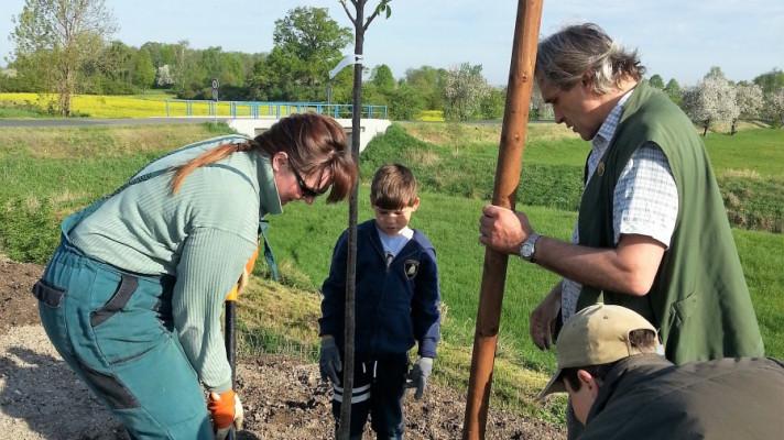 Malá obec chrání klima jedinečným kompenzačním projektem. Aleje pohltí desítky tun emisí