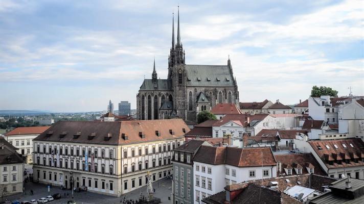 Brno chce do dvou let přestat používat pesticid glyfosát